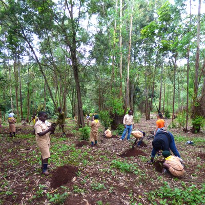 Braeburn Primary School Scouts Primary Community Conservation